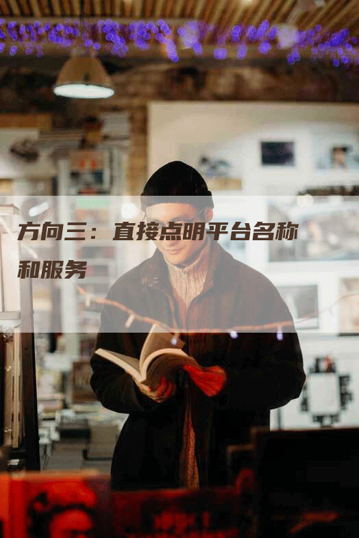 方向三：直接点明平台名称和服务